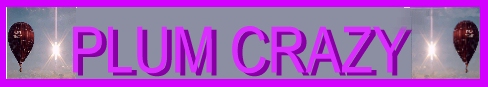 Plum crazy banner